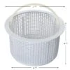 Aladdin Equipment Co - Basket, Skimmer - , Generic -AquaDream Pools Basket Skimmer Generic