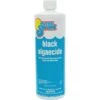 In The Swim - Black Algaecide 1 Qt. -AquaDream Pools Black Algaecide