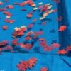 Swimline - 16' X 32' Rectangle In Ground Pool Leaf Net Cover -AquaDream Pools In Ground Pool Leaf Catchers 48