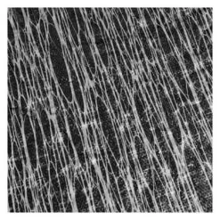 Micro Mesh 16' X 32' Oval Winter Pool Cover With 50 Cover Clips -AquaDream Pools Micro Mesh Winter Pool Cover 16x32 ft Oval 7