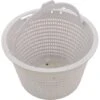 CMP - Skimmer Basket Generic Replacement For B-9, Hayward SP1070 2 CMP - Skimmer Basket Generic Replacement For B-9, Hayward SP1070 -AquaDream Pools Skimmer Basket Generic Replacement for B 9 Hayward SP1070