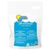 In The Swim - PH Increaser, 50 Lb Bag 1 In The Swim - PH Increaser, 50 Lb Bag -AquaDream Pools pH Increaser 24